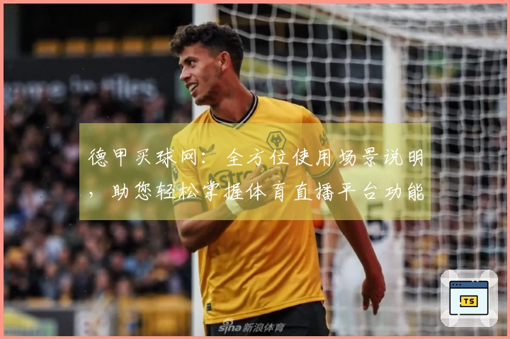 德甲买球网：全方位使用场景说明，助您轻松掌握体育直播平台功能与体验
