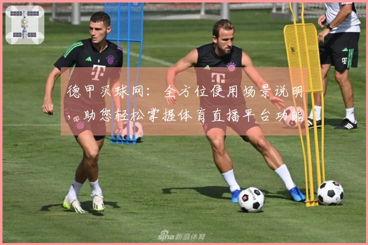 德甲买球网：全方位使用场景说明，助您轻松掌握体育直播平台功能与体验