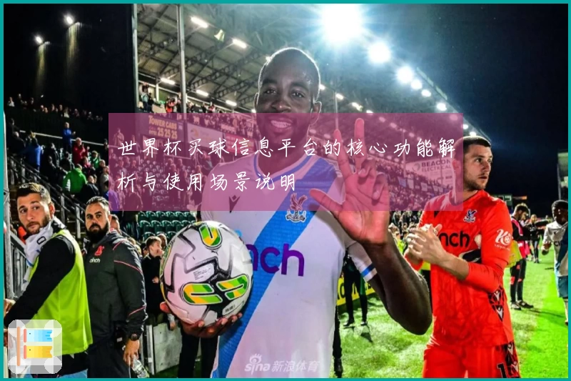 世界杯买球信息平台的核心功能解析与使用场景说明