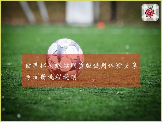 世界杯买球站网页版使用体验分享与注册流程说明